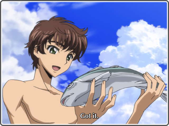 fish.png fish.png